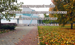 DSC ВСТАВКА